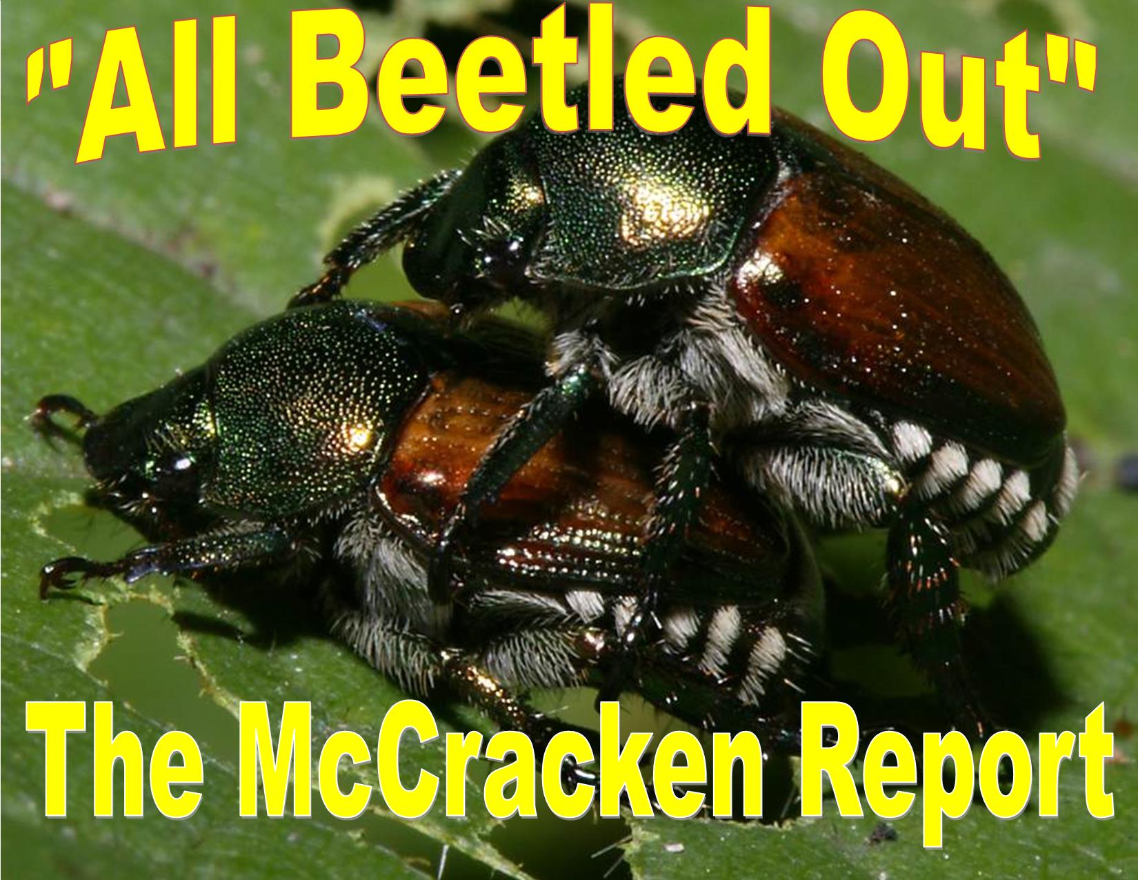 KWGA members Kevin Newcombe and Wayne Burke model the Life Cycle Mating habits of the dreaded Japanese Beetle.