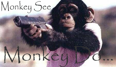 monkeyseemonkeydo_20080812